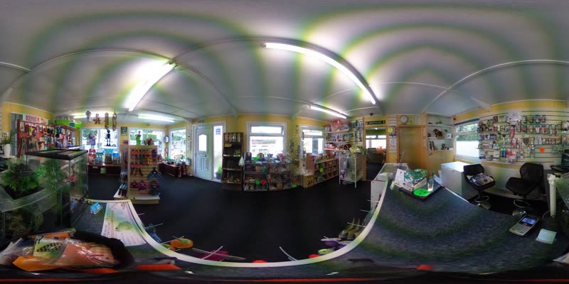 Inside The Animal Garden: shelving, stock and display tanks along the shop floor